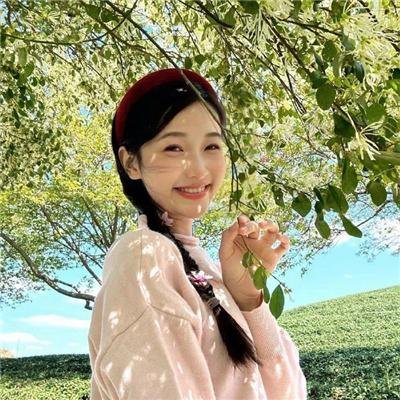 慈膳救援